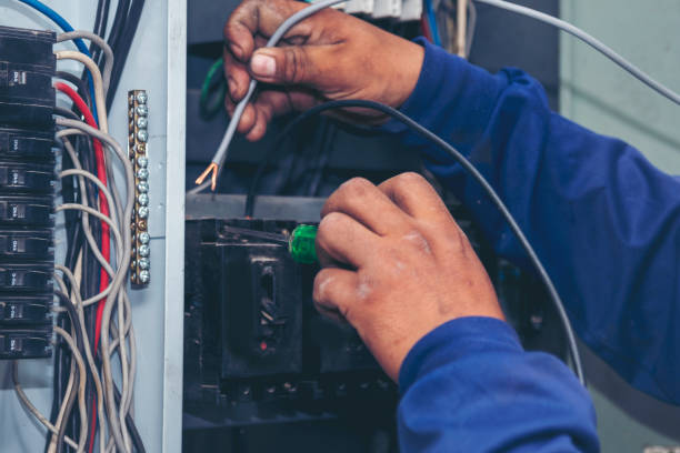 Best Generator Installation Services  in Morris, IL